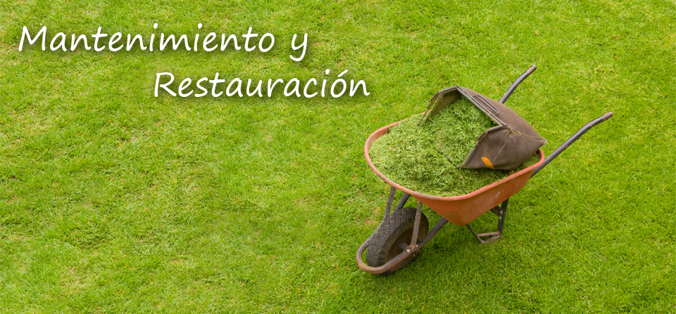 Mantenimiento y Restauración