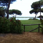 Mantenimiento Jardines Huelva